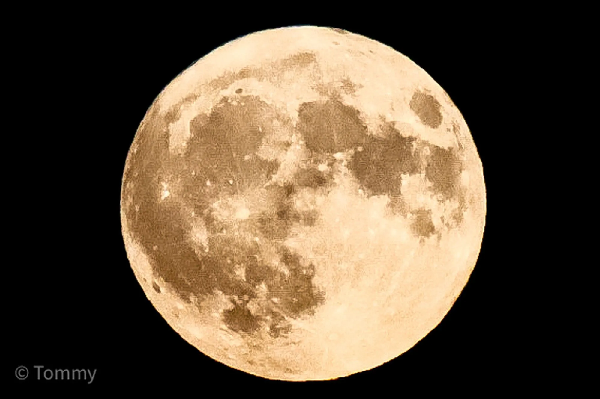 tommyerdbeermond az4