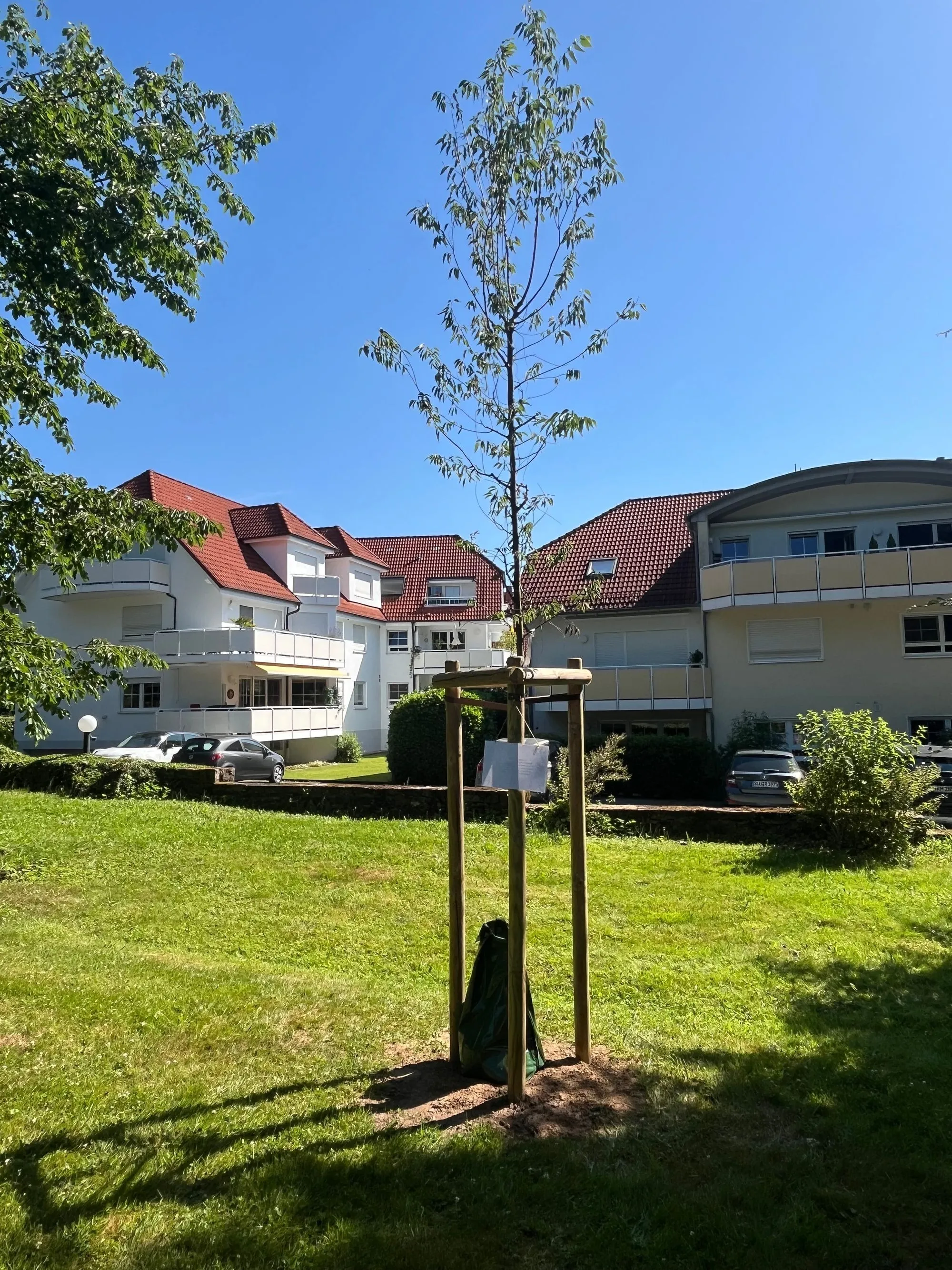 xgartenerinn az6