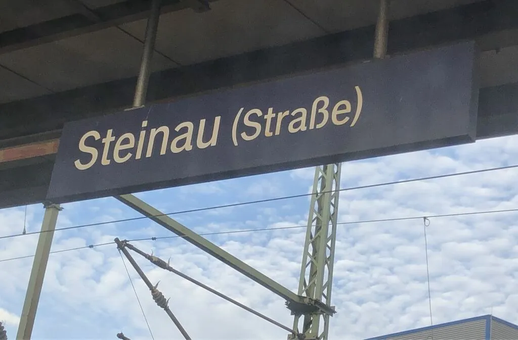 Steinau: Wildschweine von Zug erfasst